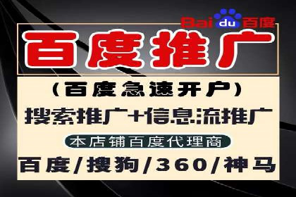 百度SEO推广策略全解析：某企业从零到一的成长历程